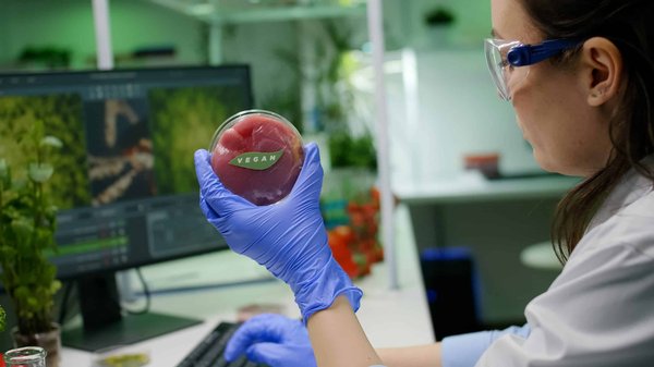 Comment préparer des repas végétariens pour les enfants exigeants ?